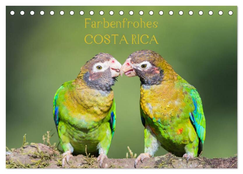 Farbenfrohes Costa Rica (Tischkalender 2026 DIN A5 quer) CALVENDO Monatskalender