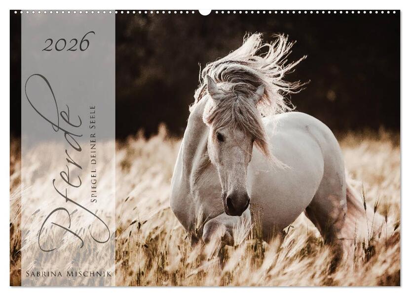 Pferde - Spiegel deiner Seele (Wandkalender 2026 DIN A2 quer) CALVENDO Monatskalender