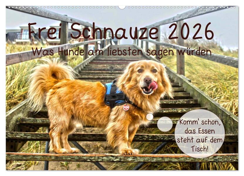 Frei Schnauze 2026. Was Hunde am liebsten sagen würden (Wandkalender 2026 DIN A2 quer) CALVENDO Monatskalender