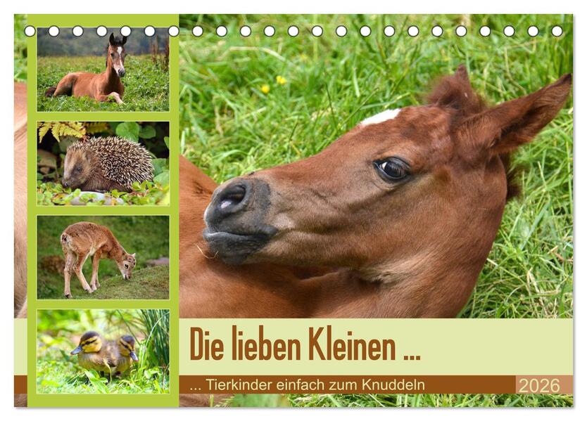 Die lieben Kleinen ... Tierkinder einfach zum Knuddeln (Tischkalender 2026 DIN A5 quer) CALVENDO Monatskalender