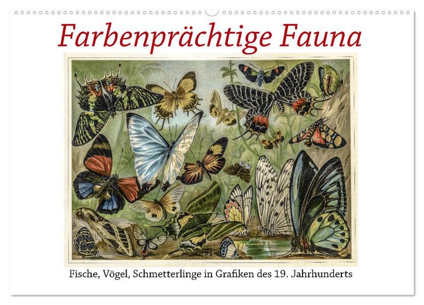 Farbenprächtige Fauna. Fische Vögel Schmetterlinge in Grafiken des 19 Jahrhunderts (Wandkalender 2026 DIN A2 quer) CALVENDO Monatskalender