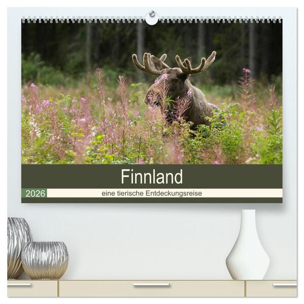 Finnland: eine tierische Entdeckungsreise (hochwertiger Premium Wandkalender 2026 DIN A2 quer) Kunstdruck in Hochglanz