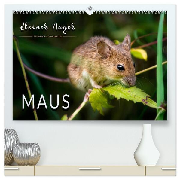 Kleiner Nager - Maus (hochwertiger Premium Wandkalender 2026 DIN A2 quer) Kunstdruck in Hochglanz