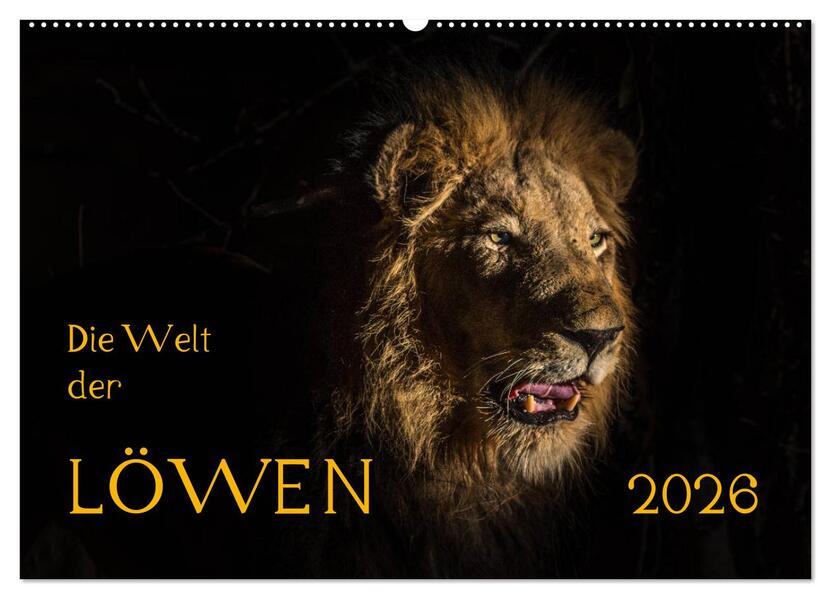 Die Welt der Löwen (Wandkalender 2026 DIN A2 quer) CALVENDO Monatskalender
