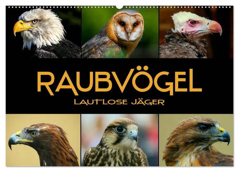 Raubvögel - lautlose Jäger (Wandkalender 2026 DIN A2 quer) CALVENDO Monatskalender