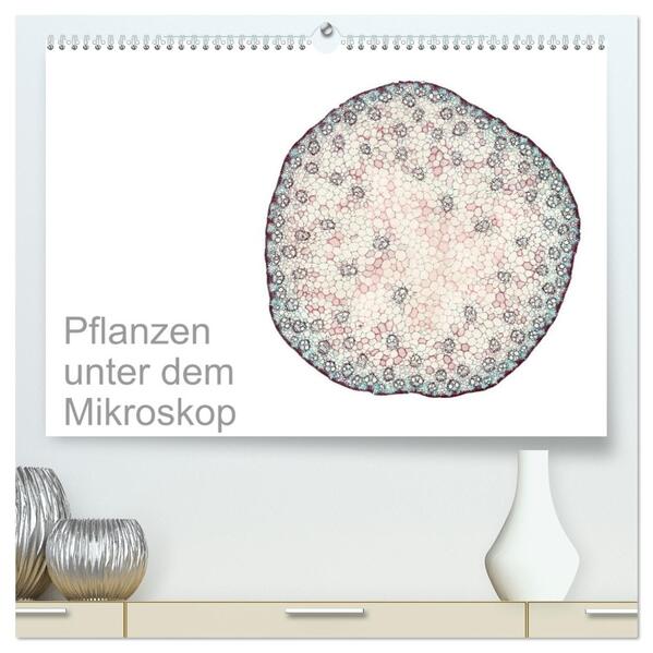 Pflanzen unter dem Mikroskop (hochwertiger Premium Wandkalender 2026 DIN A2 quer) Kunstdruck in Hochglanz