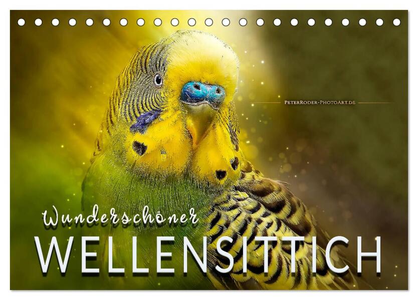 Wunderschöner Wellensittich (Tischkalender 2026 DIN A5 quer) CALVENDO Monatskalender