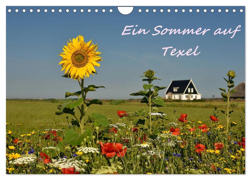 Ein Sommer auf Texel (Wandkalender 2026 DIN A4 quer) CALVENDO Monatskalender