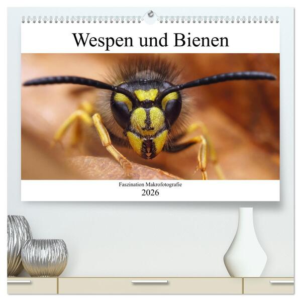Faszination Makrofotografie: Wespen und Bienen (hochwertiger Premium Wandkalender 2026 DIN A2 quer) Kunstdruck in Hochglanz