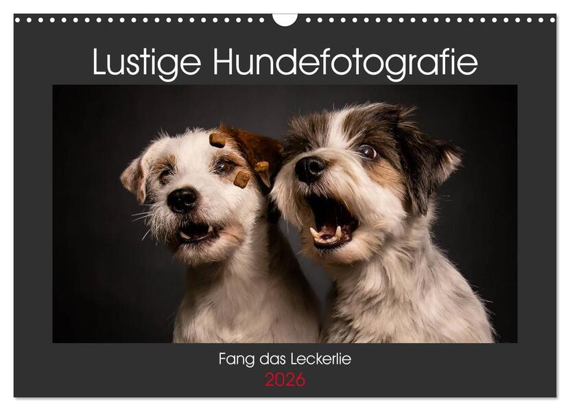 Fang das Leckerlie (Wandkalender 2026 DIN A3 quer) CALVENDO Monatskalender