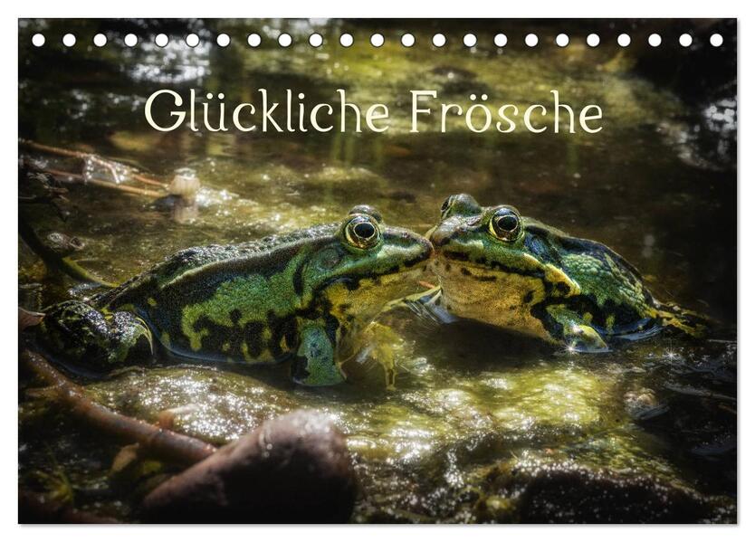 Glückliche Frösche (Tischkalender 2026 DIN A5 quer) CALVENDO Monatskalender