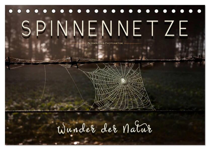 Spinnennetze - Wunder der Natur (Tischkalender 2026 DIN A5 quer) CALVENDO Monatskalender