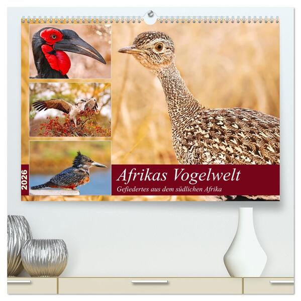 Afrikas Vogelwelt 2026 (hochwertiger Premium Wandkalender 2026 DIN A2 quer) Kunstdruck in Hochglanz