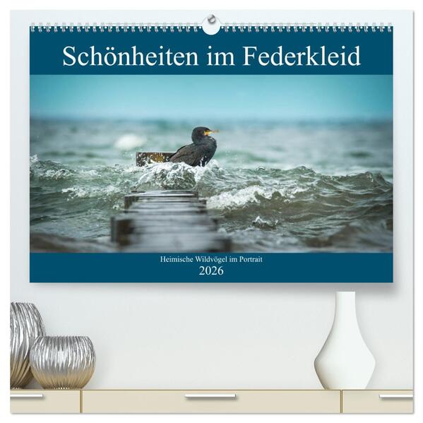Schönheiten im Federkleid - Heimische Wildvögel im Portrait (hochwertiger Premium Wandkalender 2026 DIN A2 quer) Kunstdruck in Hochglanz