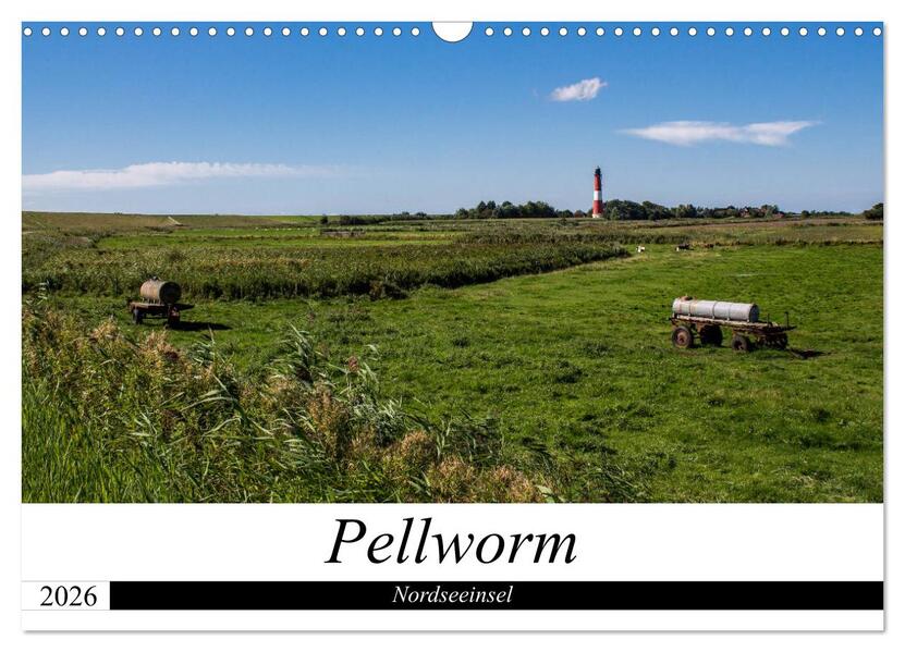 Nordseeinsel Pellworm 2026 (Wandkalender 2026 DIN A3 quer) CALVENDO Monatskalender