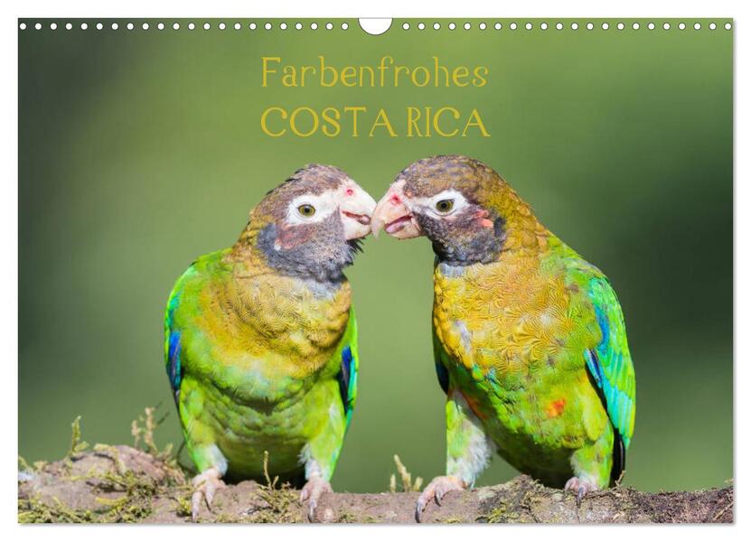 Farbenfrohes Costa Rica (Wandkalender 2026 DIN A3 quer) CALVENDO Monatskalender