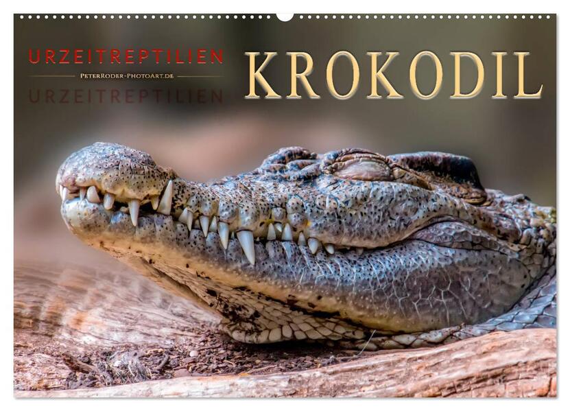 Urzeitreptilien - Krokodil (Wandkalender 2026 DIN A2 quer) CALVENDO Monatskalender