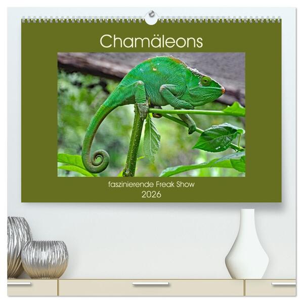 Chamäleons - faszinierende Freak Show (hochwertiger Premium Wandkalender 2026 DIN A2 quer) Kunstdruck in Hochglanz