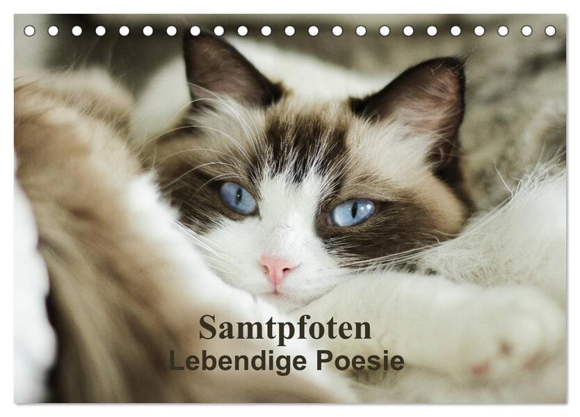 Samtpfoten Lebendige Poesie (Tischkalender 2026 DIN A5 quer) CALVENDO Monatskalender