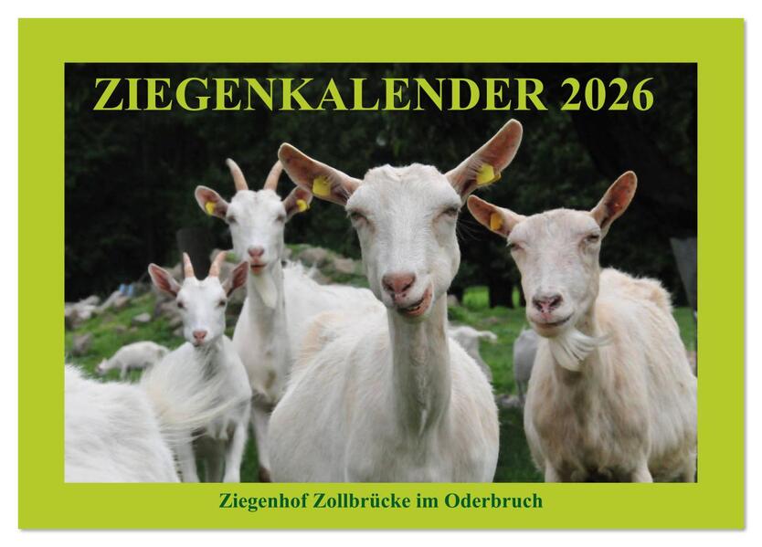 Ziegenkalender 2026 (Tischkalender 2026 DIN A5 quer) CALVENDO Monatskalender