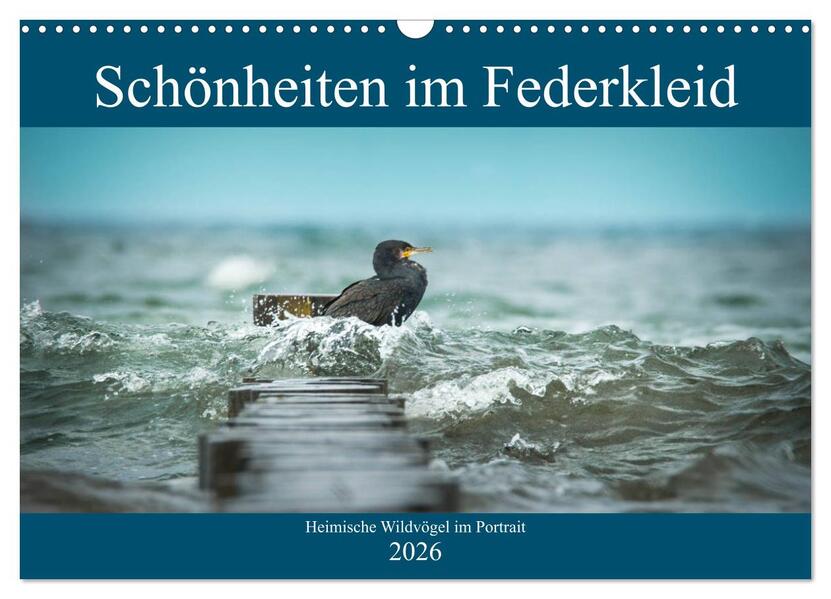 Schönheiten im Federkleid - Heimische Wildvögel im Portrait (Wandkalender 2026 DIN A3 quer) CALVENDO Monatskalender