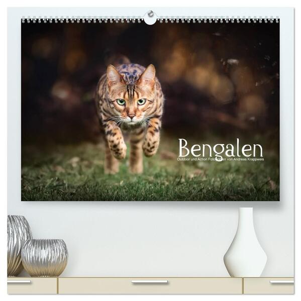 Bengalen Outdoor und Action (hochwertiger Premium Wandkalender 2026 DIN A2 quer) Kunstdruck in Hochglanz
