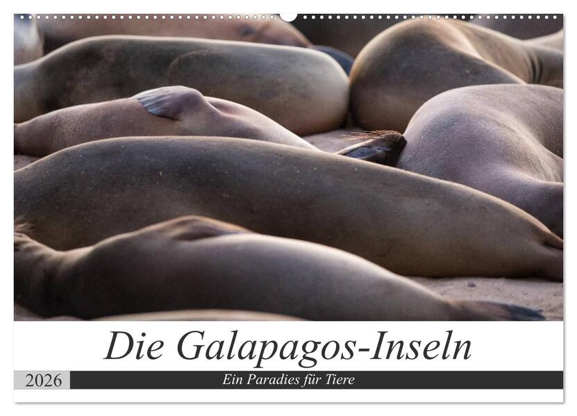 Galapagos-Inseln - Ein Paradies für Tiere (Wandkalender 2026 DIN A2 quer) CALVENDO Monatskalender