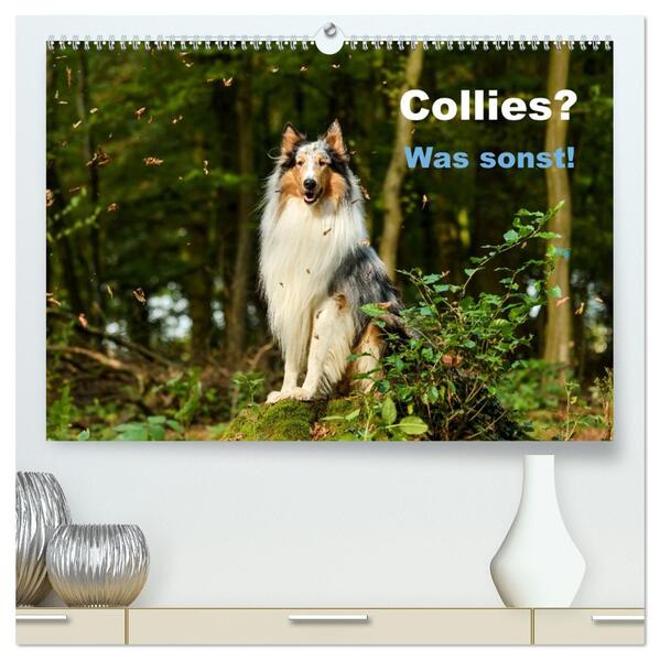 Collies? Was sonst! (hochwertiger Premium Wandkalender 2026 DIN A2 quer) Kunstdruck in Hochglanz