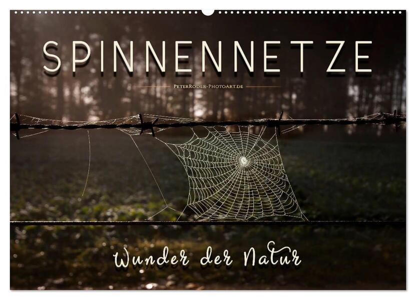 Spinnennetze - Wunder der Natur (Wandkalender 2026 DIN A2 quer) CALVENDO Monatskalender