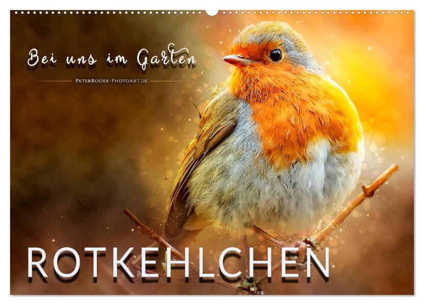 Bei uns im Garten - Rotkehlchen (Wandkalender 2026 DIN A2 quer) CALVENDO Monatskalender
