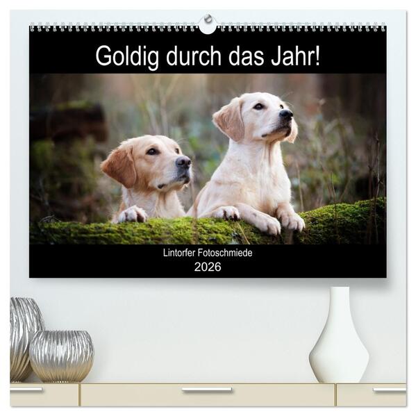 Goldig durch das Jahr! (hochwertiger Premium Wandkalender 2026 DIN A2 quer) Kunstdruck in Hochglanz