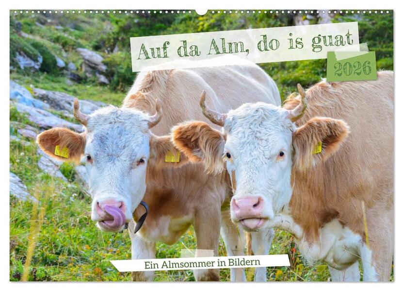 Bergstille - Momente auf der Alm (Wandkalender 2026 DIN A2 quer) CALVENDO Monatskalender