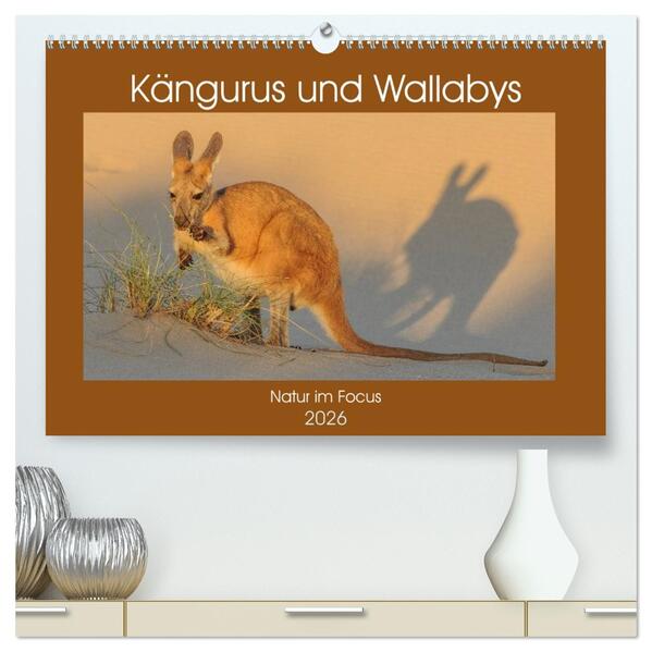 Kängururs und Wallabys (hochwertiger Premium Wandkalender 2026 DIN A2 quer) Kunstdruck in Hochglanz