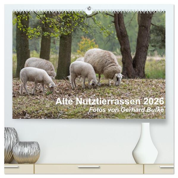 Alte Nutztierrassen 2026 (hochwertiger Premium Wandkalender 2026 DIN A2 quer) Kunstdruck in Hochglanz