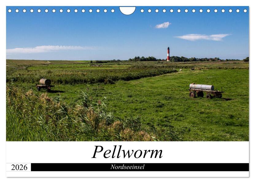 Nordseeinsel Pellworm 2026 (Wandkalender 2026 DIN A4 quer) CALVENDO Monatskalender
