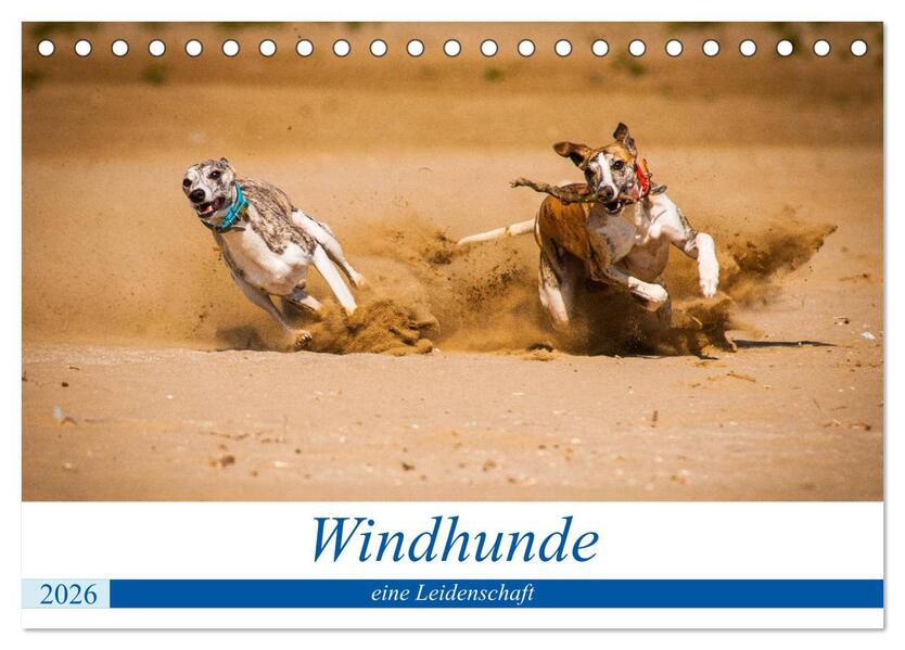 Windhunde - eine Leidenschaft (Tischkalender 2026 DIN A5 quer) CALVENDO Monatskalender