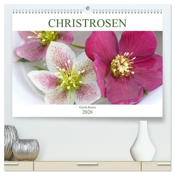 Christrosen (hochwertiger Premium Wandkalender 2026 DIN A2 quer) Kunstdruck in Hochglanz