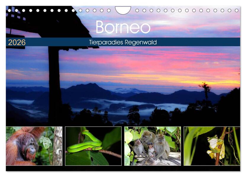 Borneo - Tierparadies Regenwald (Wandkalender 2026 DIN A4 quer) CALVENDO Monatskalender