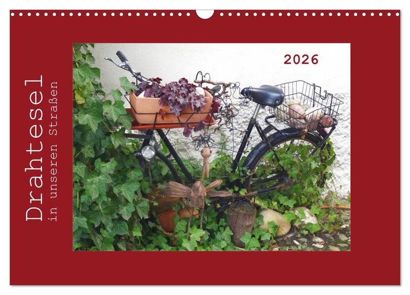 Drahtesel in unseren Straßen (Wandkalender 2026 DIN A3 quer) CALVENDO Monatskalender