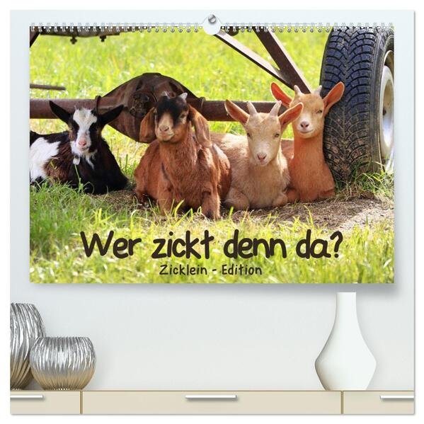 Wer zickt denn da? - Zicklein-Edition (hochwertiger Premium Wandkalender 2026 DIN A2 quer) Kunstdruck in Hochglanz