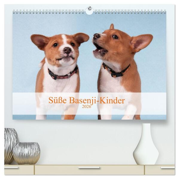 Süße Basenji-Kinder (hochwertiger Premium Wandkalender 2026 DIN A2 quer) Kunstdruck in Hochglanz