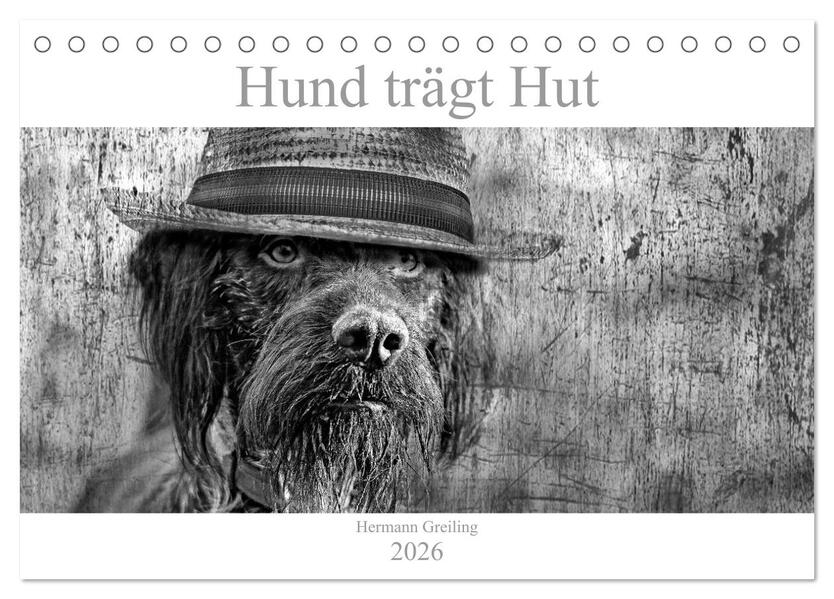 Hund trägt Hut (Tischkalender 2026 DIN A5 quer) CALVENDO Monatskalender