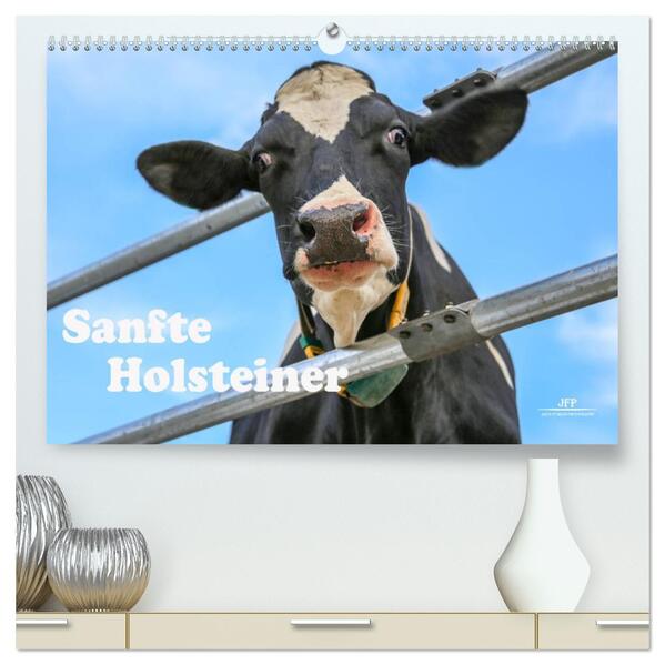 Sanfte Holsteiner (hochwertiger Premium Wandkalender 2026 DIN A2 quer) Kunstdruck in Hochglanz