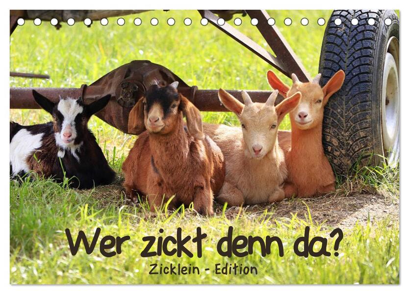 Wer zickt denn da? - Zicklein-Edition (Tischkalender 2026 DIN A5 quer) CALVENDO Monatskalender