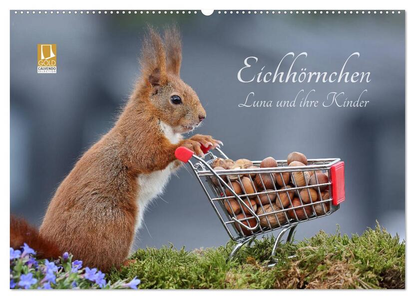 Eichhörnchen Luna und ihre Kinder (Wandkalender 2026 DIN A2 quer) CALVENDO Monatskalender
