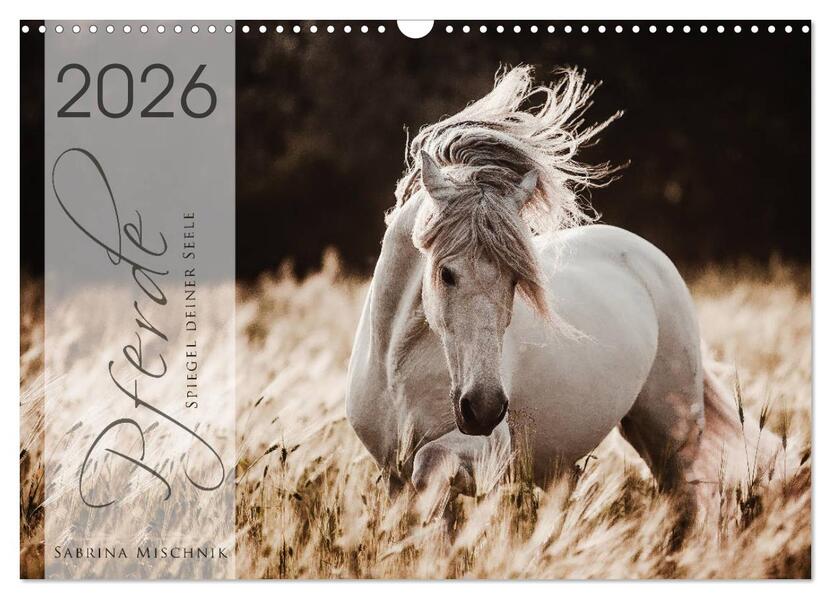 Spiegel deiner Seele (Wandkalender 2026 DIN A3 quer) CALVENDO Monatskalender