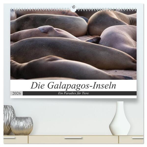 Galapagos-Inseln - Ein Paradies für Tiere (hochwertiger Premium Wandkalender 2026 DIN A2 quer) Kunstdruck in Hochglanz