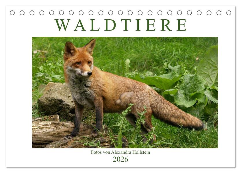 Waldtiere (Tischkalender 2026 DIN A5 quer) CALVENDO Monatskalender