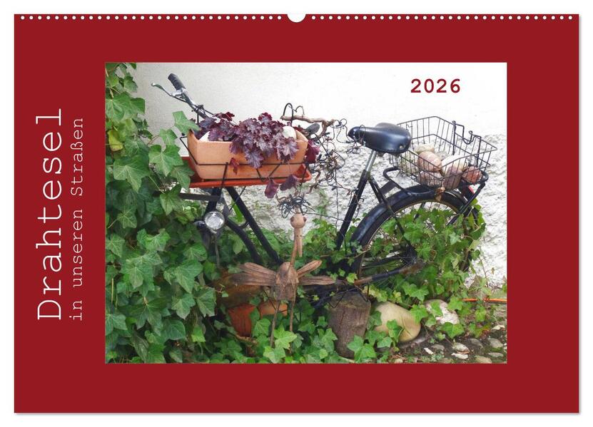 Drahtesel in unseren Straßen (Wandkalender 2026 DIN A2 quer) CALVENDO Monatskalender