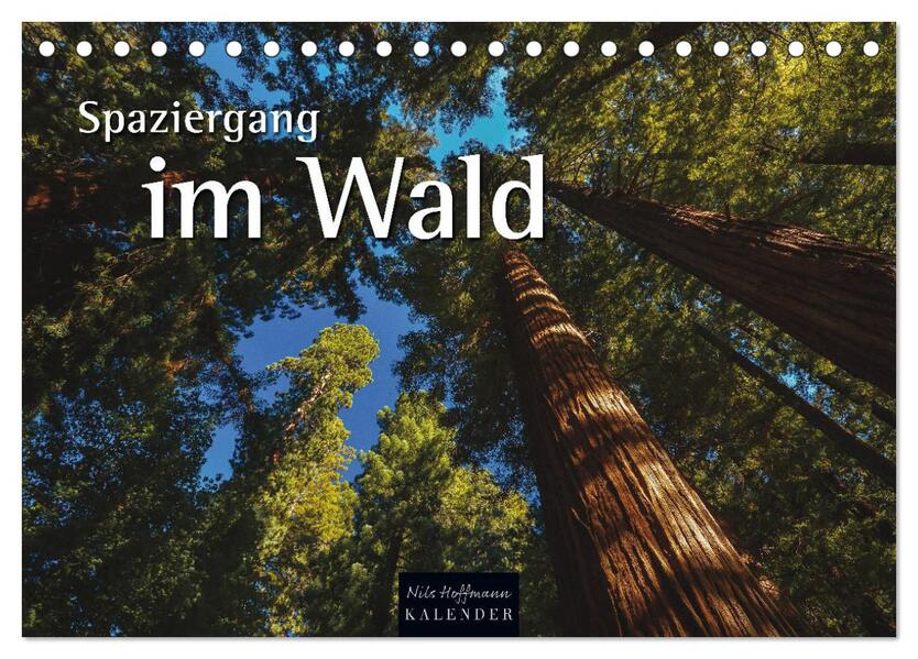 Spaziergang im Wald (Tischkalender 2026 DIN A5 quer) CALVENDO Monatskalender